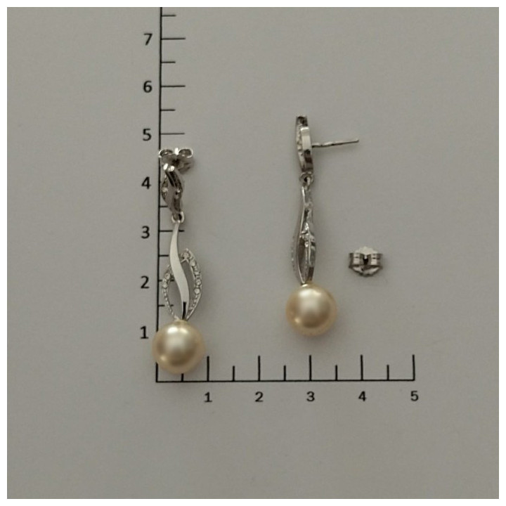 Pendientes LIFE